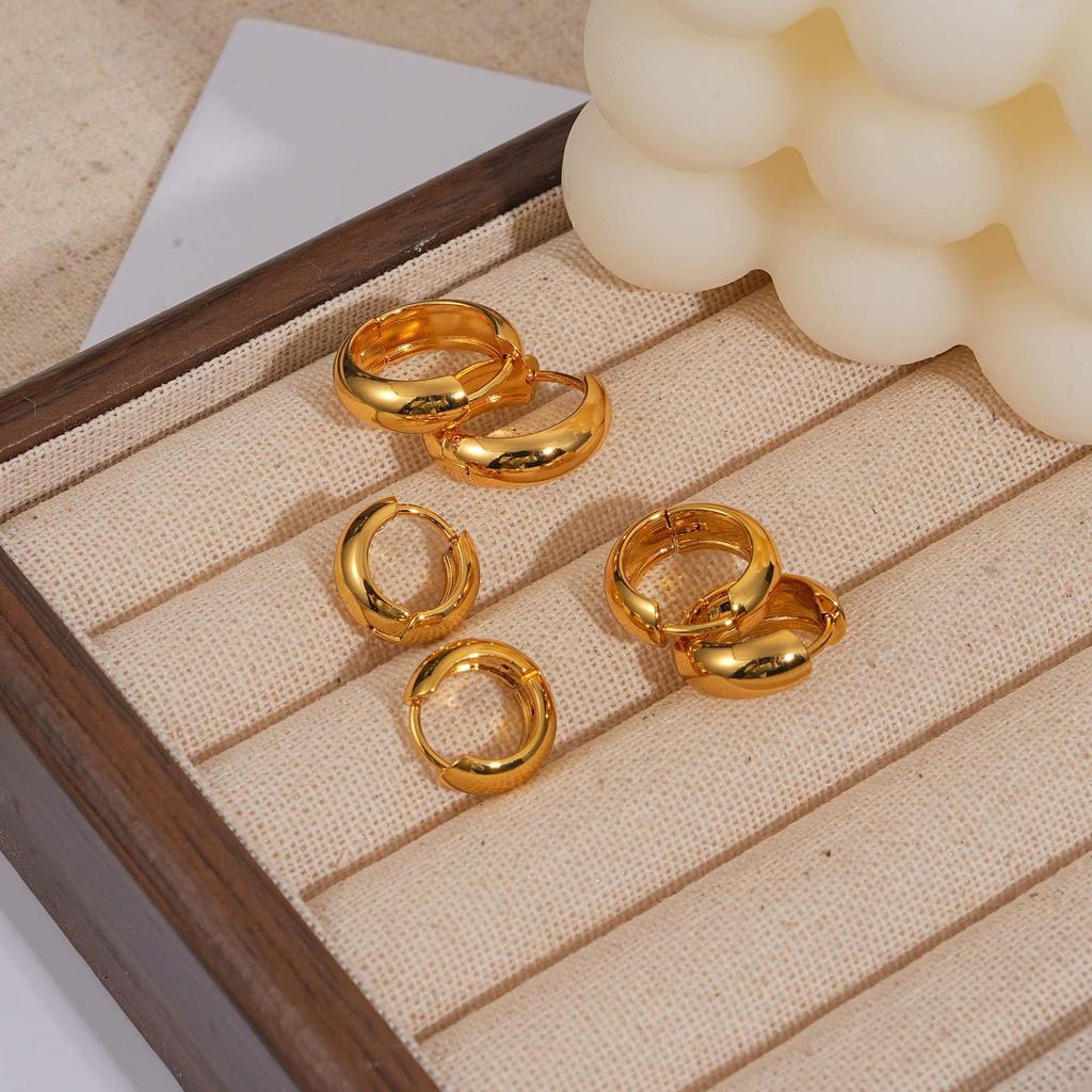 Women’s High-End Metallic Gloss Hoop Earrings, Luxurious Niche Design, 2024 Trendy Ear Hoops