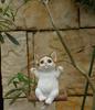 Devalier Ca123m Cat Figurine Calico Cat Resin Gift Perfect Present [Genuine Product]