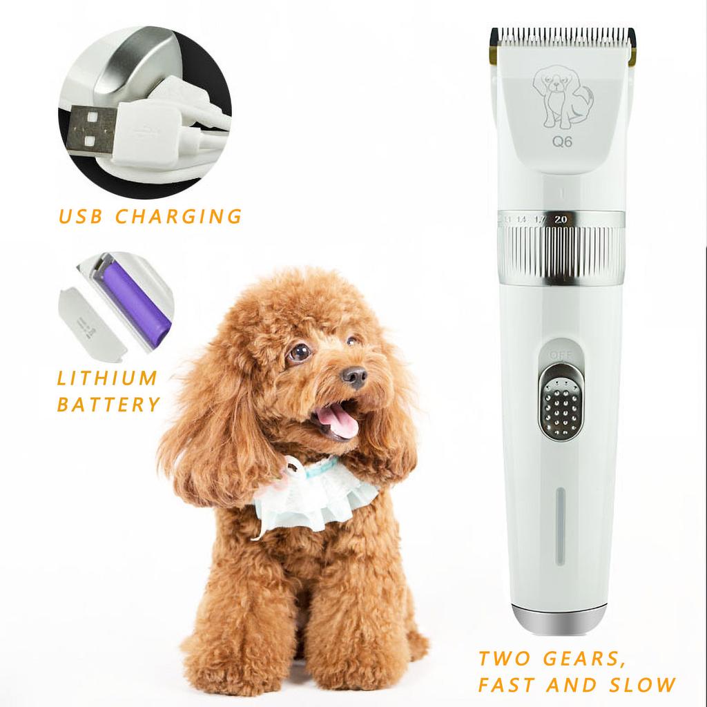 small dog grooming kit