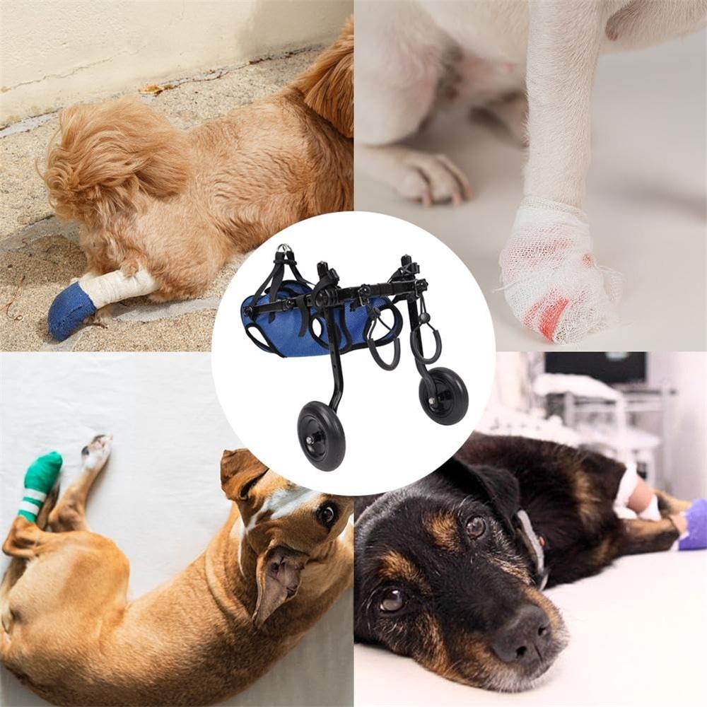 Hundewagen für Hinterbeine – Verstellbare Mobilitätshilfe für kleine Hunde, Hüftstütze & Beinschiene, Gehhilfe für behinderte Haustiere (XS/S/M)