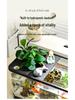 Transparent Plastic Desktop Goldfish Tank for Home Decor - Small & Medium Sizes Available