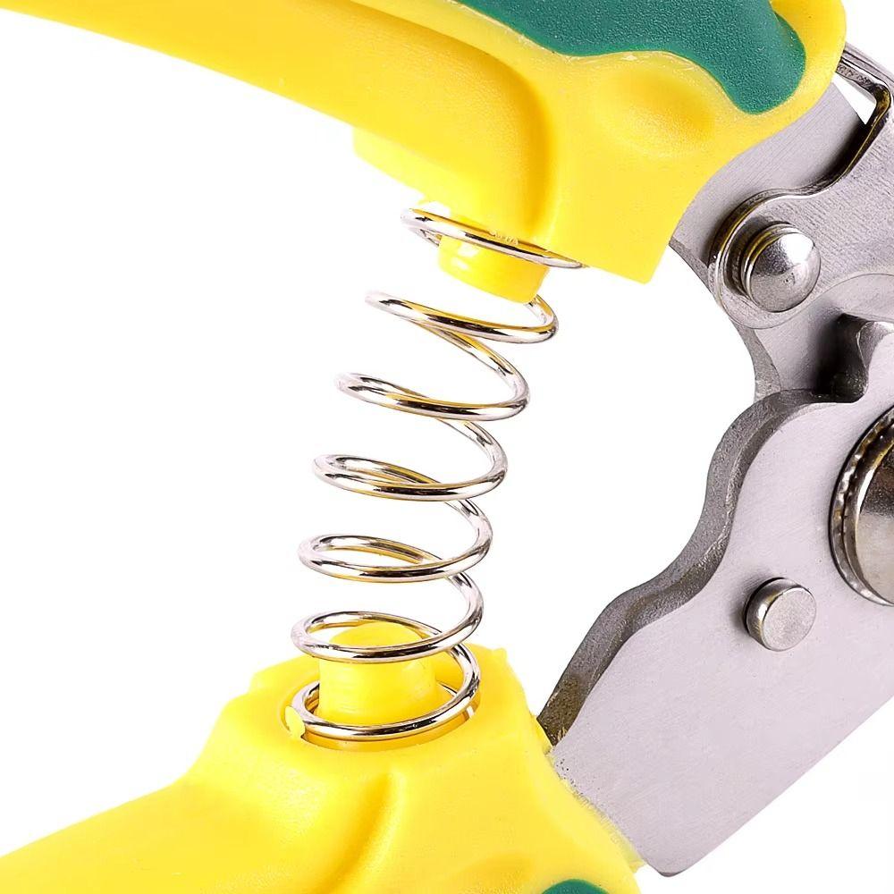 Stainless Steel Garden Pruner Safe Lock Tree Branch Trimmer Pruning Shears  Orchard Trimming