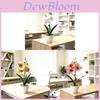 Butterfly Orchid Plastic Home Decor Faux Flower For Photography And Living Room Display