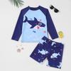 Boys' Long Sleeve Two-Piece Rash Guard Swimsuit
