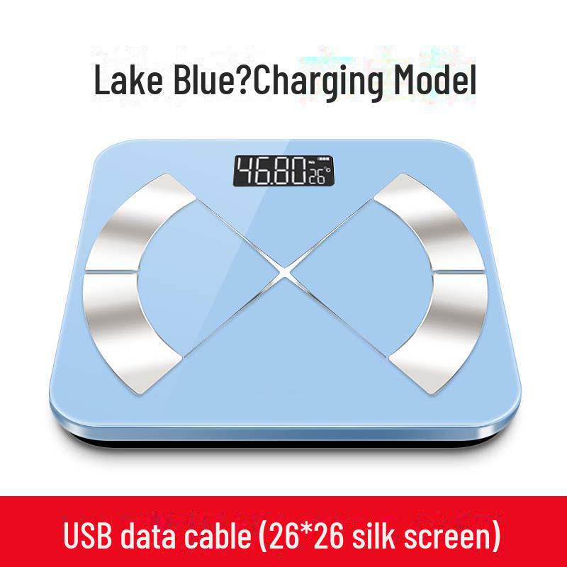 Upgraded Smart Rechargeable Body Fat and Weight Scale - Accurate Electronic Scale for Home Use
