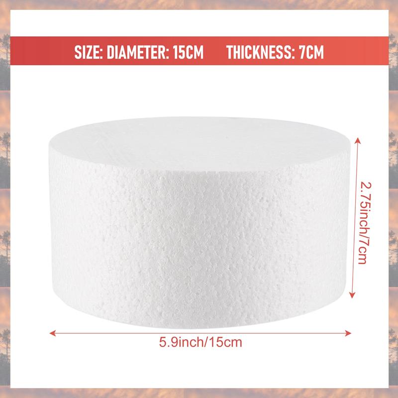 2025 Trend Round Cake Dummy (6 Inch)