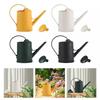 2L Capacity Horticultural Watering Can Long Mouth Long-Spout Watering Can  Flower Watering