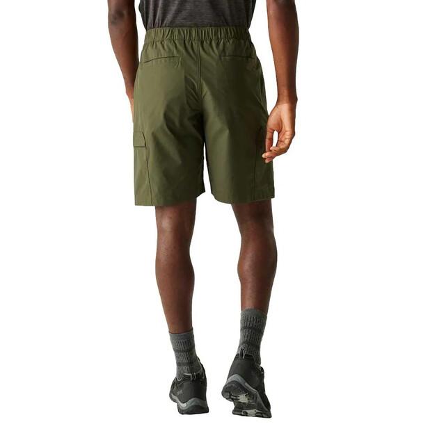 Regatta Mallen Shorts