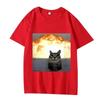 T-shirt Unisexe d'Été à Manches Courtes Imprimé avec Motif Drôle de Chatons Explosifs Meme Chat Humoristique