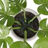 Metal Plant Climbing Bracket Flower Shaped Plant Holding Fixing Clip Plant Vine Climbing Grapple Bracket Stem Finishing Period