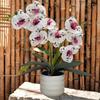 White Flower Pot Artificial Orchid Bonsai Multi-Bloom Artificial Faux Plants  Home Decor