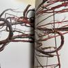 [USED] Tim Hawkinson Collection - Foreign Books