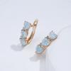 New Blue Heart Zircon Drop Earrings For Women  Rose Gold Color Earrings Vintage Wedding Jewelry Luxury Design Best Gift