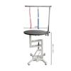 Pet Grooming Table Lift & Rotate Air-Pump Hydraulic Dog Cat Beauty Desk 360° Swivel 80×50 cm Non-Slip Top for Small-Medium Large
