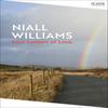 Four Letters Of Love by Niall Williams Paperback Book 9781035038800