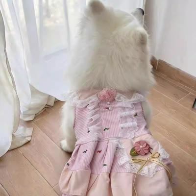 Bekleidung & Schuhe – Hundekleider