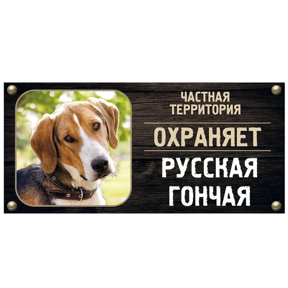 DORA Tin Sign Guard Dog Private Property Sign Metal House Number Plaque
