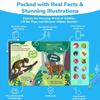 Activity Book Sounds Books Animal Cry Sound Interact Books 0-36M Wild Animal Kids Books  Baby