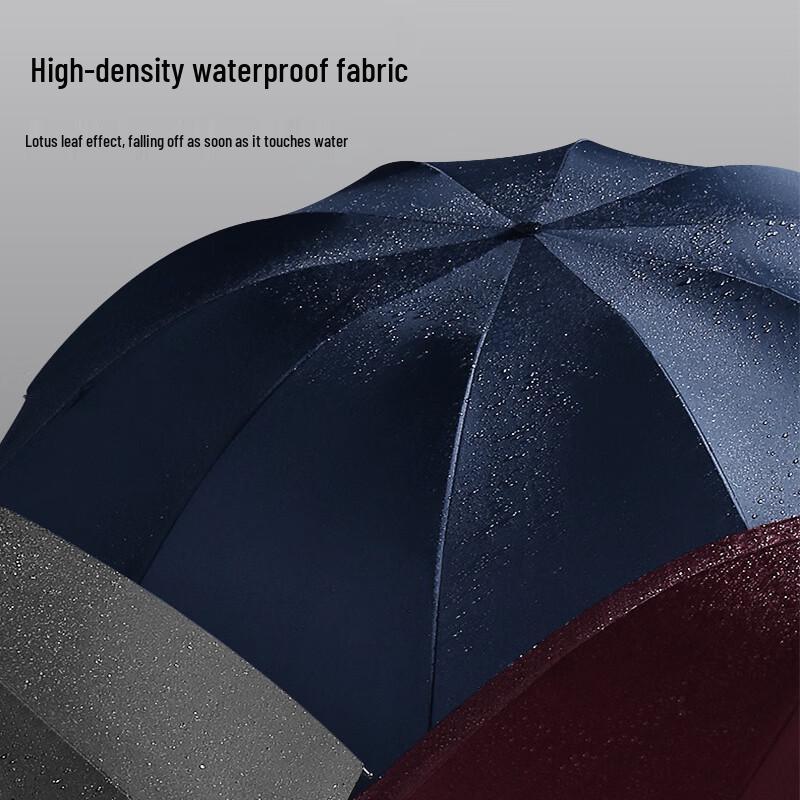 Automatic 10-Rib Dual-Purpose Business Umbrella