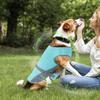 Cooling Vest Harness for Dogs UV Protection Adjustable Shirt Jacket Pet Outfit for Small Medium Puppy Hiking Beach