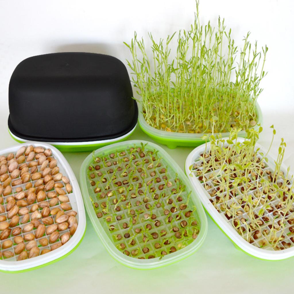 Caixa de Brotos de Feijão e Amendoim Hidropônico Vaso de Nursery Ervilha Grama de Gato Germinador de Sementes de Trigo Bandeja de Germinação para Jardim Plantio Sem Solo