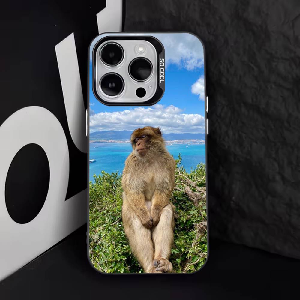 Funny Cute Monkey Phone Case For iPhone 11,12,13,14,15,16,17,Pro,Max,Plus,E,Air,Mini IMD Matte Black