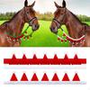 2 julhästtömsskydd, Dekoration, Dekorativ ridsportsdekoration för