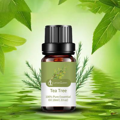Olio diffusore idratante delicato non irritante da 10 ml Olio essenziale aromatico per massaggio rassodante per la pelle