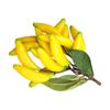 Colorful Banana Props Artificial Bananas Fake Fruit Banana Enhances Space with Natural Feel