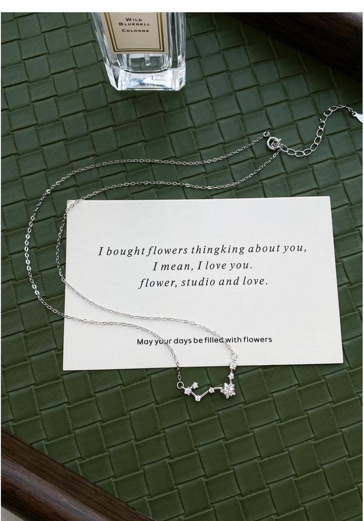 S999 Sterling Silver Big Dipper Necklace for Women - Niche, Light Luxury Design, Elegant Clavicle Chain, Perfect for Valentine's Day Gift.