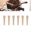 6PCS Guitar Bridge Pin Copper Acoustic Guitar Bridge Pins Peg Replacement for Repairing