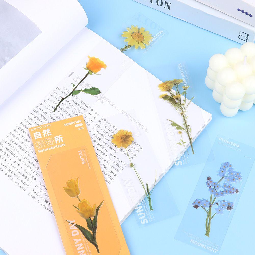 Marker Page Holder PET Specimen Bookmarks Translucent Flower Nature Plants Bookmarks Bookmarks Card