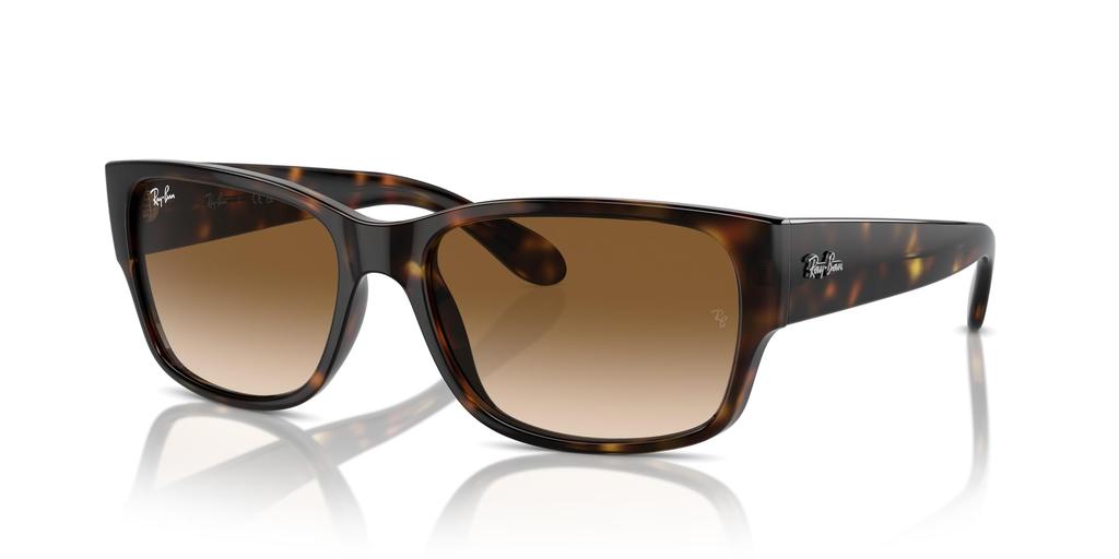 Sunglasses RB4388 HAVANA 58 Ray-Ban