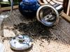Glass Kettle Teapot For Herbal Tea Infuser Glass Gift 4