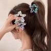 3Pcs Simple Transparent Hairpin Sweet Temperament Girls Hairpin Hair Accessories Colorful Hollow Five Pointed Star Shark Clip