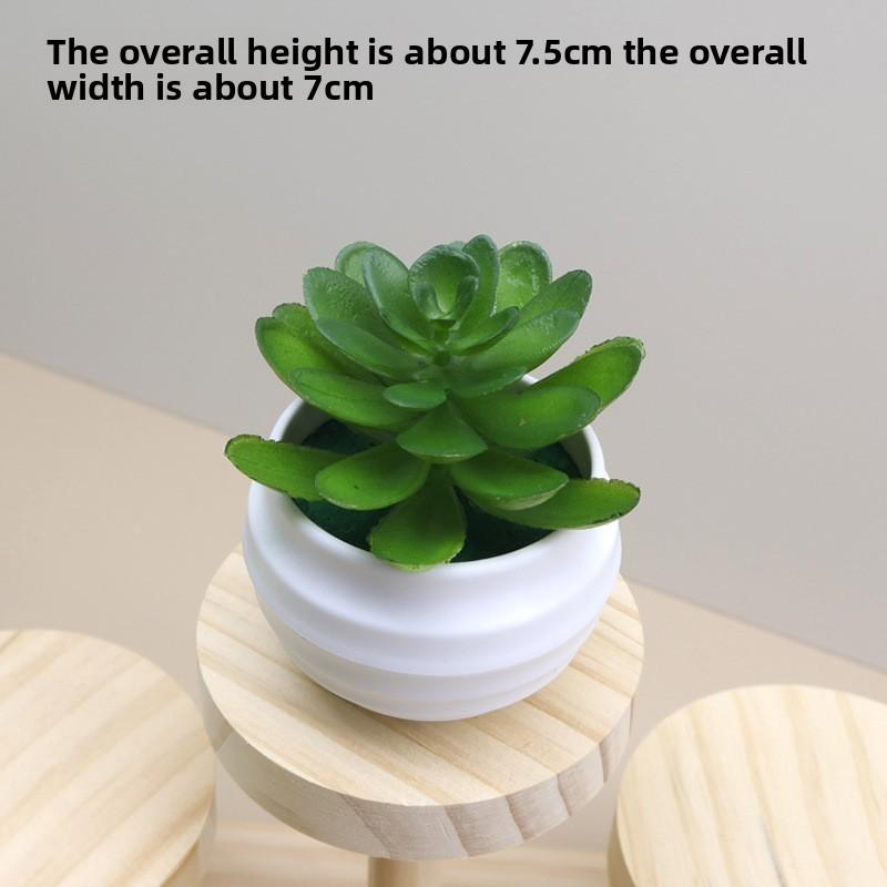 Plant Plastic Succulent Lotus Artificial Potted For Indoor Decoration And Gifts