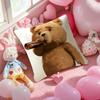 Movie Ted-Teddy Bear Cute Pillow Case Anti-Dustmite Pillowcase Invisible Zipper Silky Short Plush Sofa Cushion Cover
