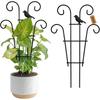 Iron Plant Climbing Support Durability Indoor Plant Trellis For Indoor Outdoor Garden Flower Vertical Growth