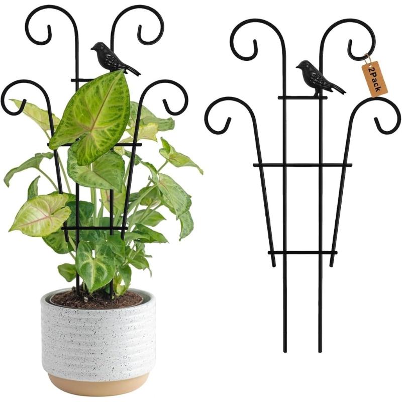 Iron Plant Climbing Support Durability Indoor Plant Trellis For Indoor Outdoor Garden Flower Vertical Growth