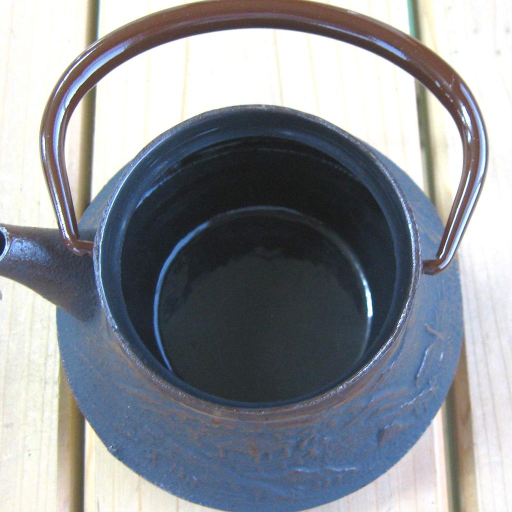 Nagao Mizusawa x Tsubame Sanjo Nanbu Ironware Teapot Landscape 180ml Made in Japan