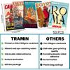 TRAMIN 50 PCS Vintage Travel Decor Posters, Retro Popular Cities Photo Collage Kit, World Travel Wall Art Prints, Trendy City Landscape Aesthetic