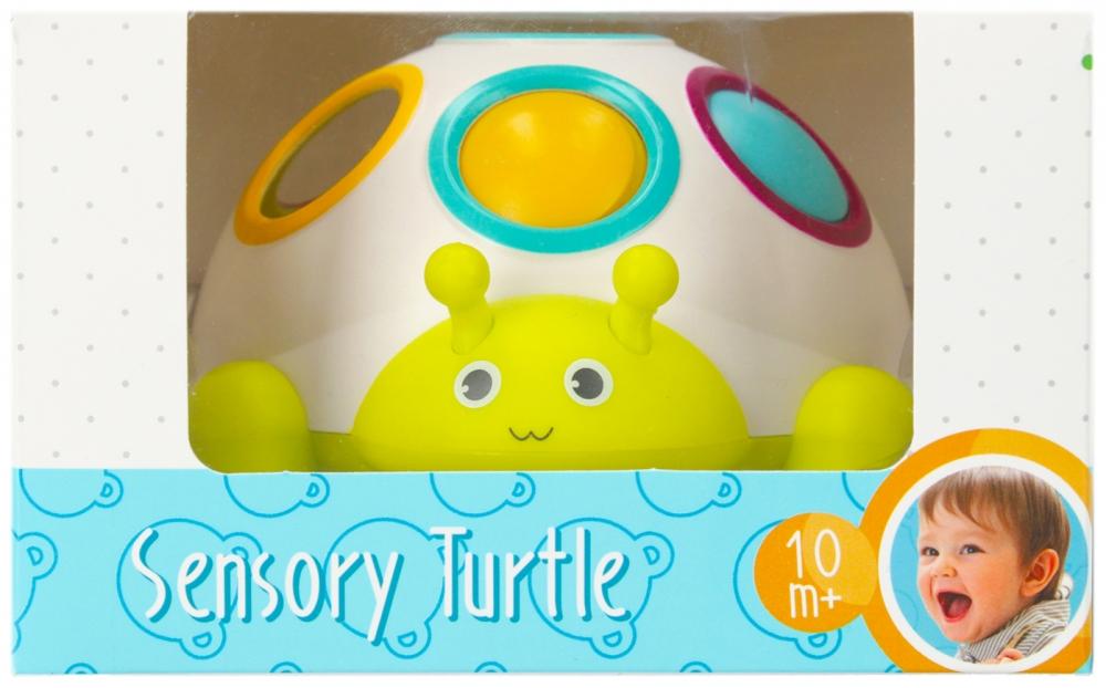 Turtle Sensory Toy. Bam Bam 492756