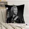 Singer B-Billy Idol Pillow Case for Sofa Living Room Home office Decor Protective Cover