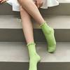 Biarritz Socks [3SET] French Frill Socks (LONG/MEDIUM 2 Ver.) 5 Colors
