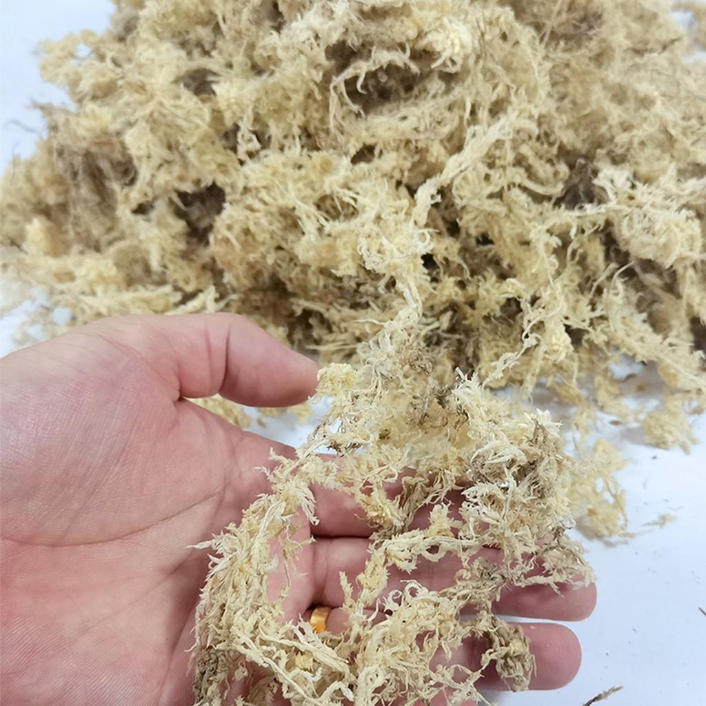 Plant Grown Peat Moss With Long Fibers For Drying Water Moss