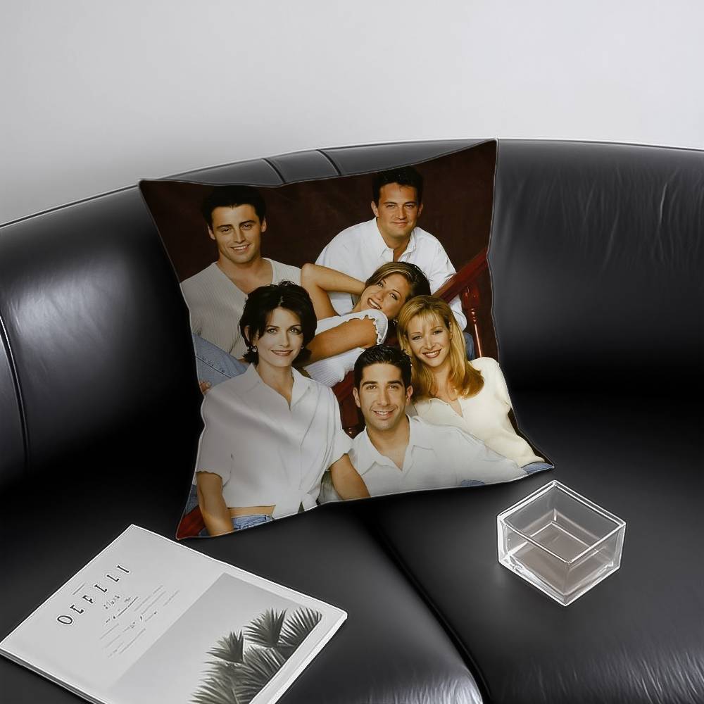 Anime F-Friends Pillow Case Anti-dustmite Invisible zipper Sofa Bed