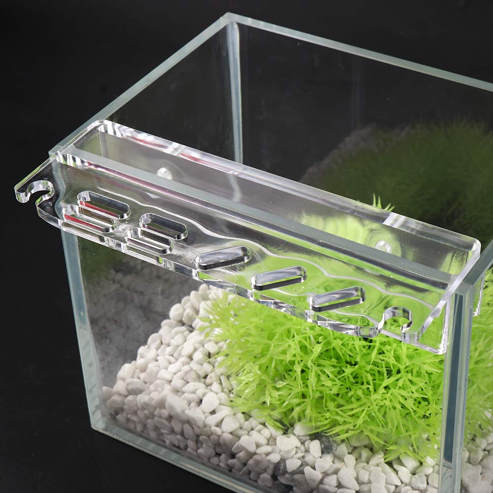 Scraper Grass Maintenance Tool Aquarium Tank Tool Holder Aquarium Plant Tools Holder Storage Rack