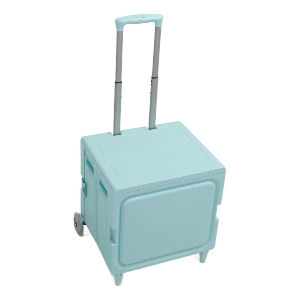 Carrello a Rotelle Pieghevole Facile da Riporre Forte Capacità di Carico Multifunzionale Pieghevole Portatile