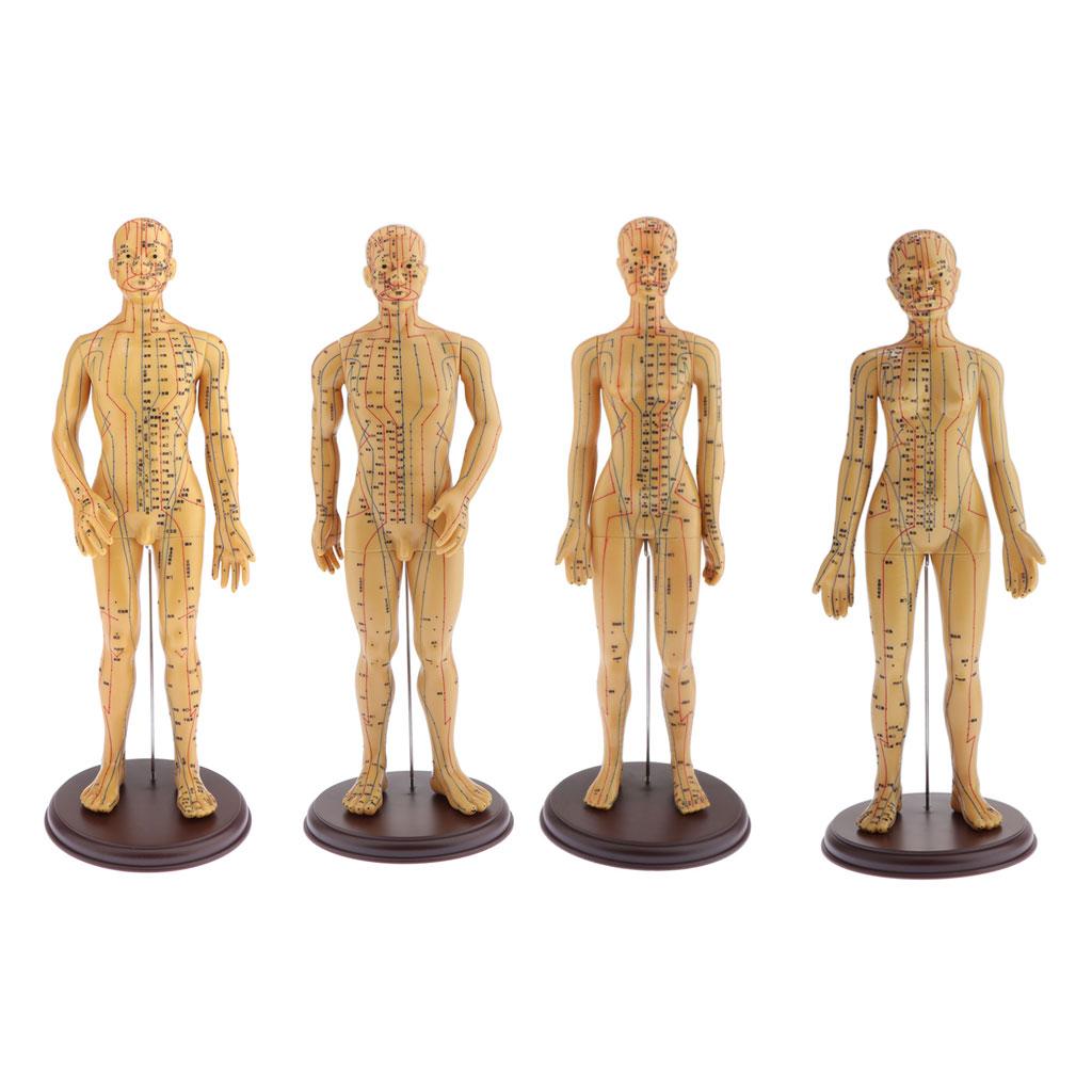 Figure, Male / Full Body
