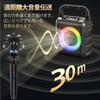 JYX Karaoke Set, Home Speaker Set with Loudspeaker, Two Wireless Microphones, Bluetooth 5.1, Compact PA Set, Portable Karaoke Machine, SD Card, USB